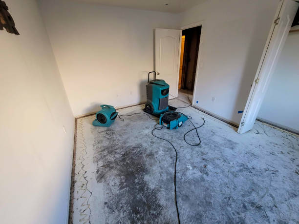 Best Water damage mitigation services  in Vamo, FL