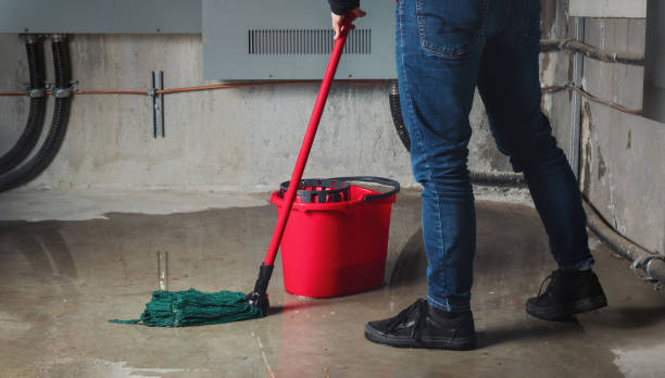 Best Flooded house restoration  in Vamo, FL