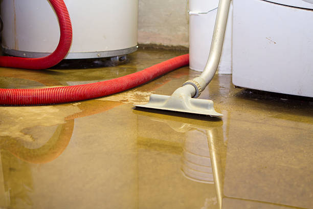 Best Commercial water damage restoration  in Vamo, FL