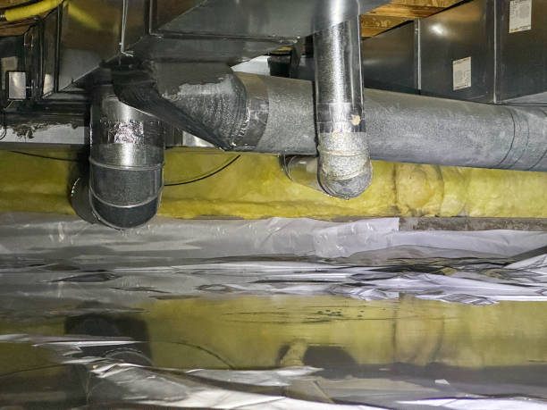 Best Emergency water damage restoration  in Vamo, FL