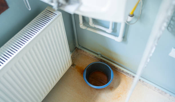 Best Mold removal after water damage  in Vamo, FL