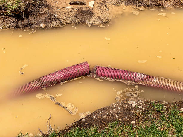 Sewage cleanup and water damage restoration in FL