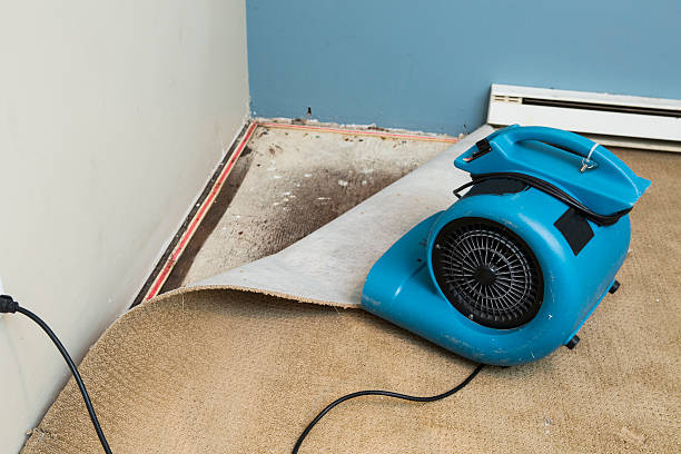 Best 24/7 water damage repair  in Vamo, FL