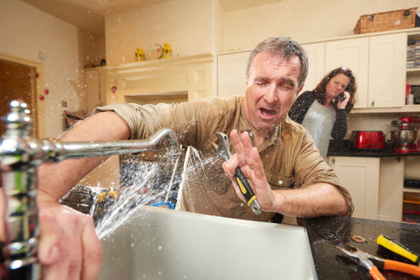 Best Water damage contractors near me  in Vamo, FL